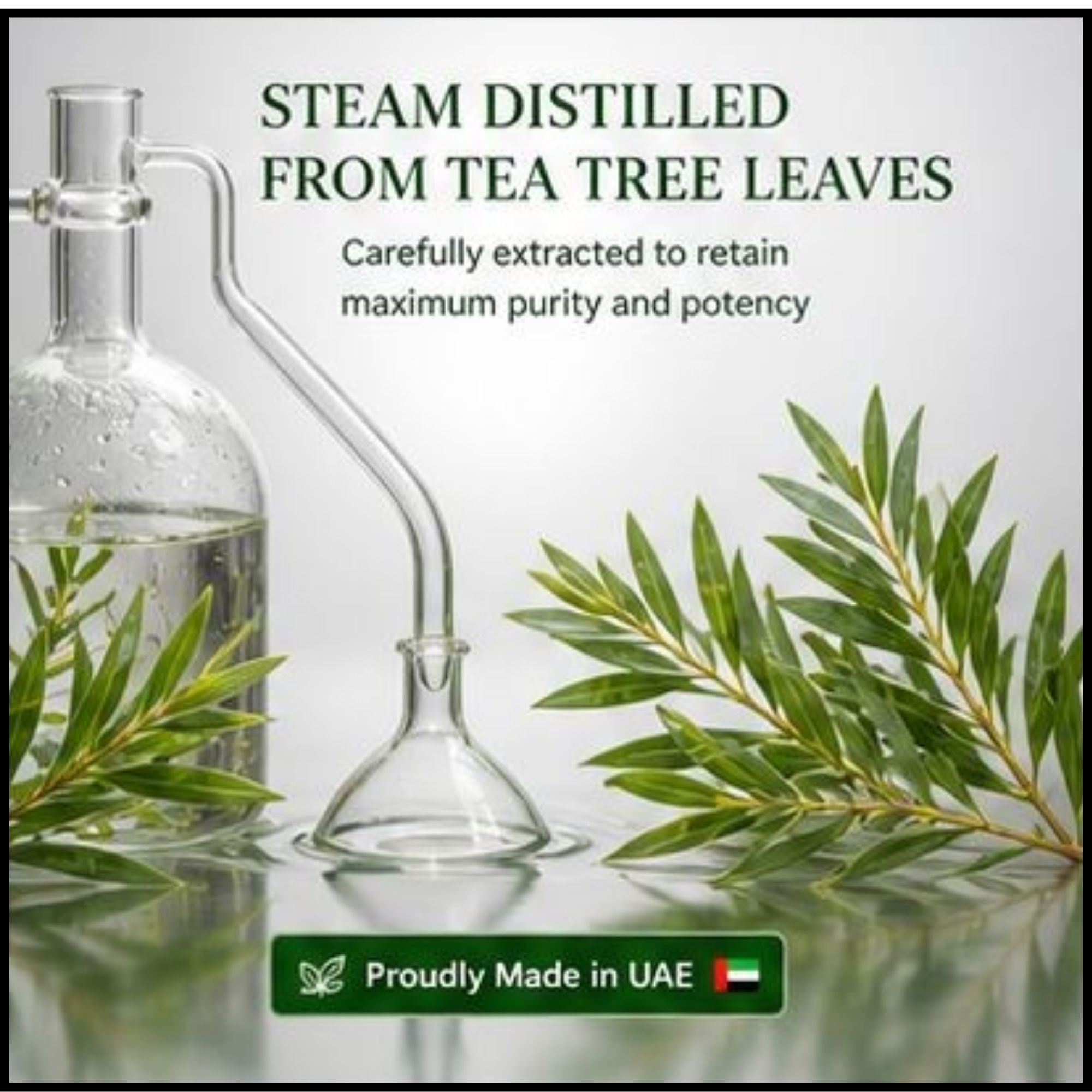 Tea Tree Oil
